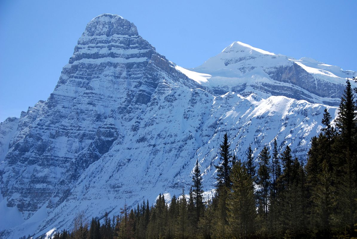 16 Mount Chephren and White Pyramid From Icefields Parkway